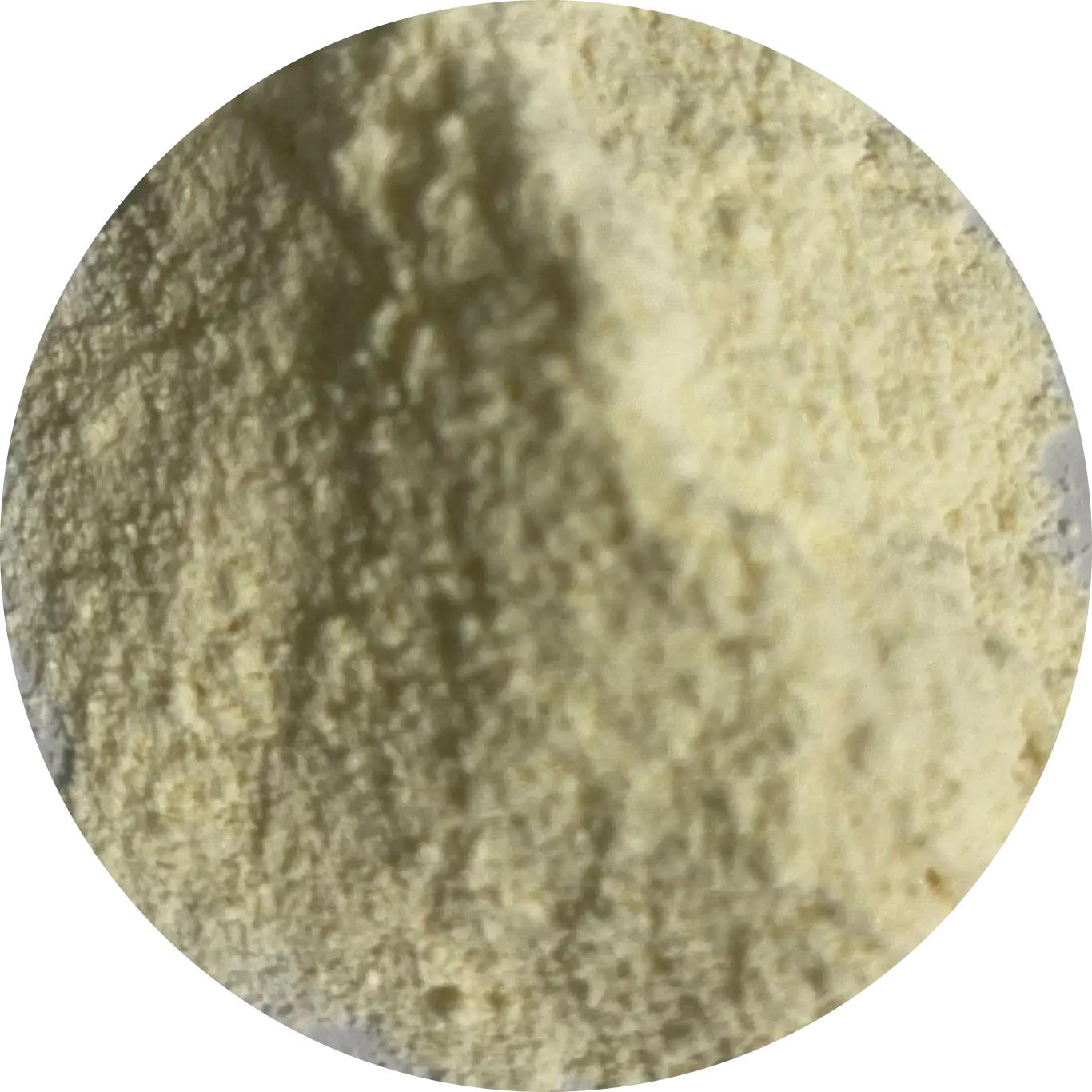 100% Plant-Based Formula